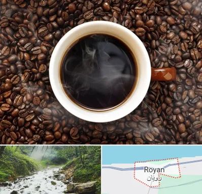 فروشگاه قهوه در رویان