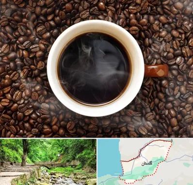فروشگاه قهوه در گلستان
