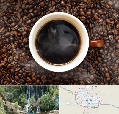 فروشگاه قهوه در شیروان
