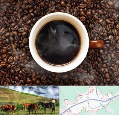 فروشگاه قهوه در تالش