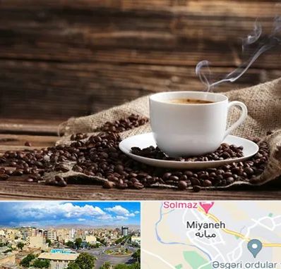 عمده فروشی قهوه در میانه