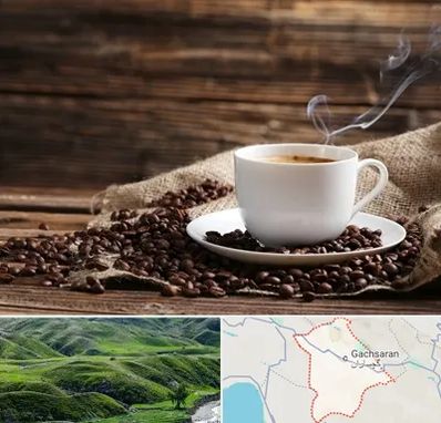 عمده فروشی قهوه در گچساران