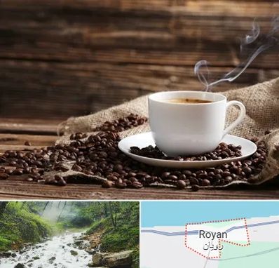 عمده فروشی قهوه در رویان