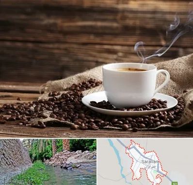 عمده فروشی قهوه در سراوان
