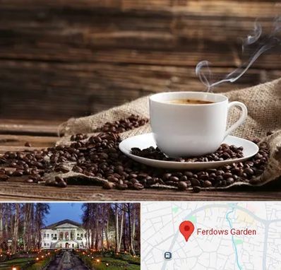 عمده فروشی قهوه در باغ فردوس