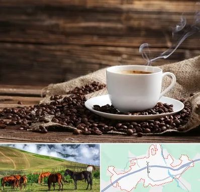 عمده فروشی قهوه در تالش