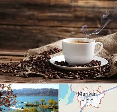 عمده فروشی قهوه در مریوان
