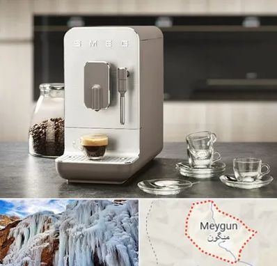 نمایندگی قهوه در میگون