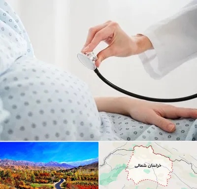 دکتر پریناتولوژی در خراسان شمالی