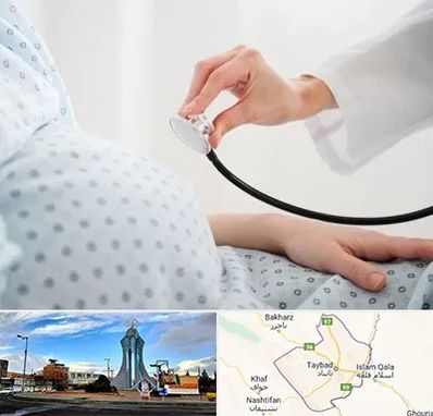 دکتر پریناتولوژی در تایباد