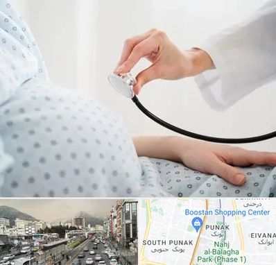 دکتر پریناتولوژی در پونک