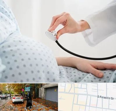 دکتر پریناتولوژی در خیابان فلسطین