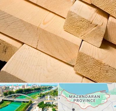 فروش چوب راش در مازندران