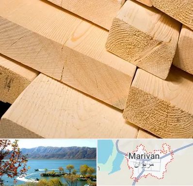 فروش چوب راش در مریوان