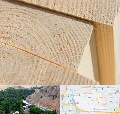 فروش چوب روسی در کن 