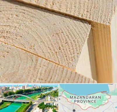 فروش چوب روسی در مازندران