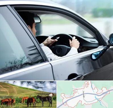 اجاره اتومبیل با راننده در تالش