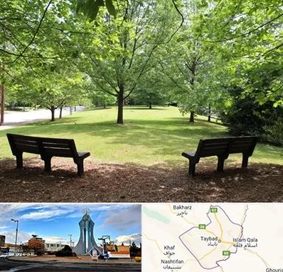 پارک در تایباد