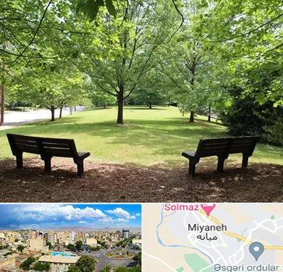 پارک در میانه