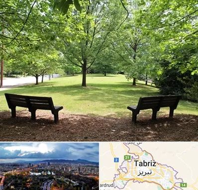 پارک در تبریز