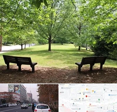 پارک در کارگر شمالی 