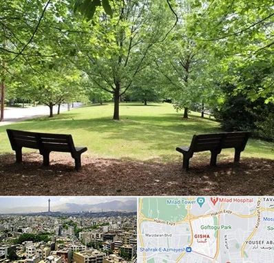 پارک در گیشا 