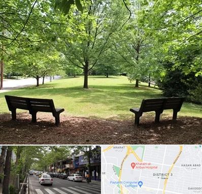 پارک در ظفر 