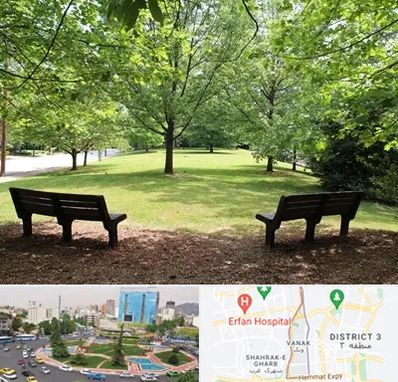 پارک در ونک 