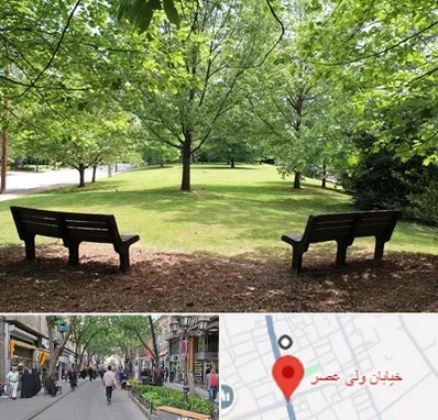 پارک در ولیعصر شهریار