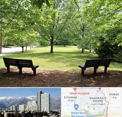 پارک در شهرک غرب 