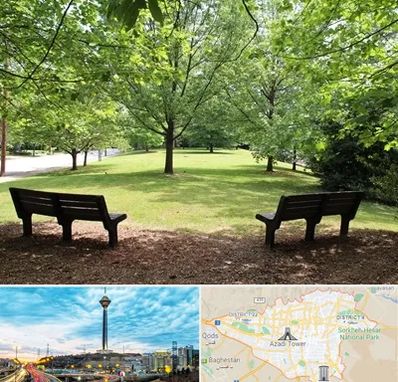 پارک در تهران