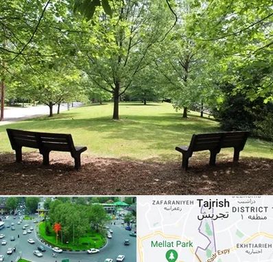 پارک در تجریش 