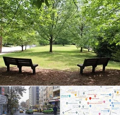 پارک در فاطمی 