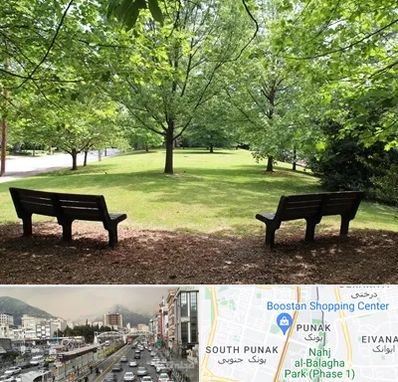 پارک در پونک 