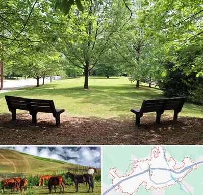 پارک در تالش