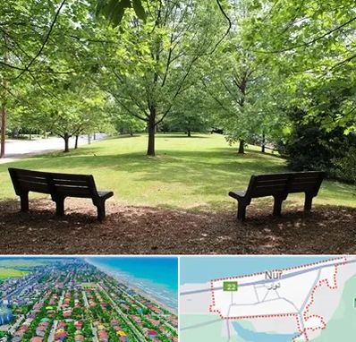 پارک در نور