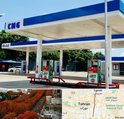 پمپ گاز در ولیعصر 