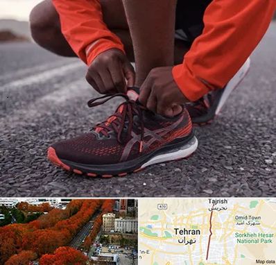 فروشگاه کفش اورجینال در ولیعصر 