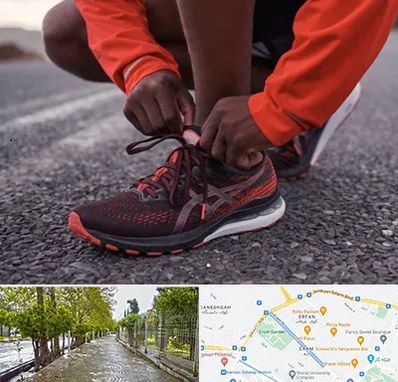 فروشگاه کفش اورجینال در خیابان ارم شیراز