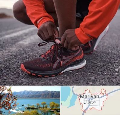 فروشگاه کفش اورجینال در مریوان