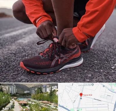 فروشگاه کفش اورجینال در بلوار تعاون