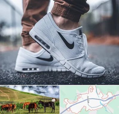 فروشگاه کفش نایک در تالش