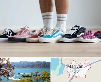فروشگاه کفش ونس در مریوان