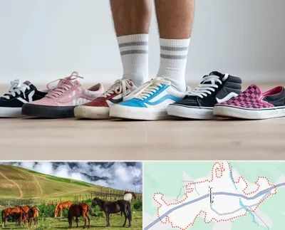 فروشگاه کفش ونس در تالش