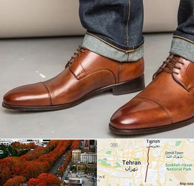 کفش سایز بزرگ مردانه در ولیعصر 