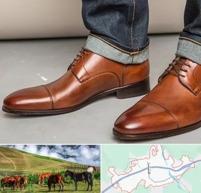 کفش سایز بزرگ مردانه در تالش