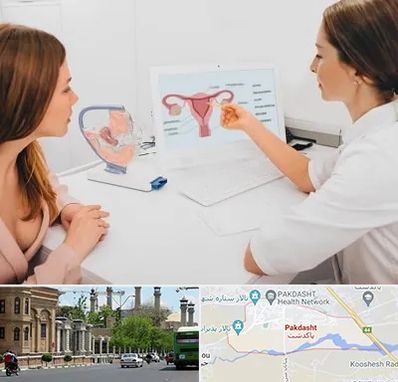 فوق تخصص نازایی در پاکدشت