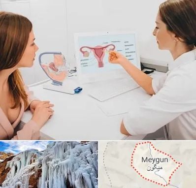 فوق تخصص نازایی در میگون