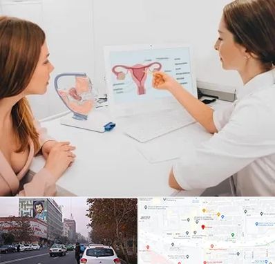 فوق تخصص نازایی در کارگر شمالی