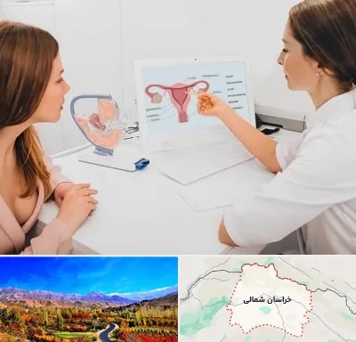 فوق تخصص نازایی در خراسان شمالی